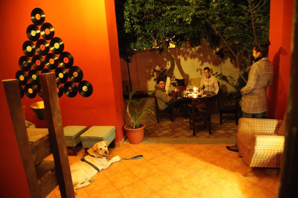 Trip'n'hostel *
